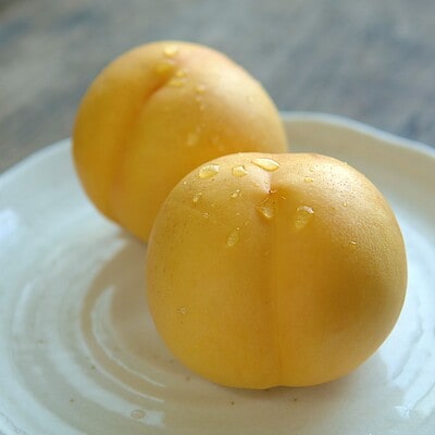 【３回お届け】岡山県　総社もも生産組合「ネクタリン」３種食べ比べ