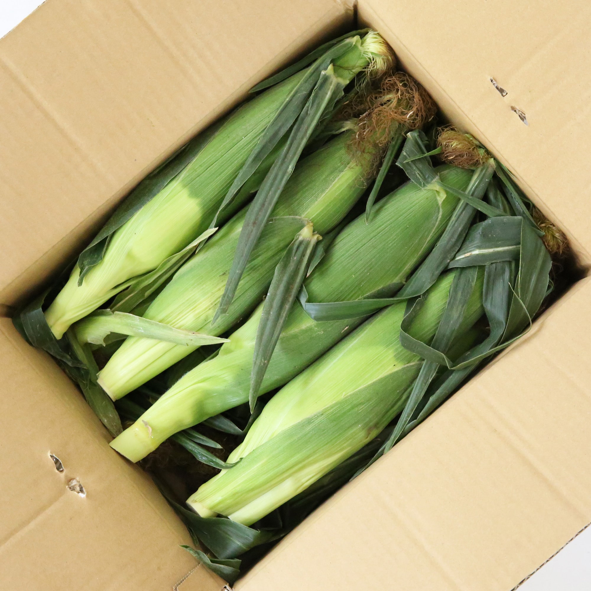 山梨県産　志田農園のとうもろこし（サニーショコラ・ライラ）・約３ｋｇ（７～８本）