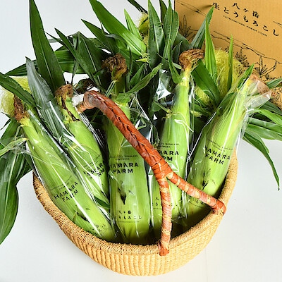 長野県産　ハマラノーエンの「八ヶ岳生とうもろこし」１０本入り