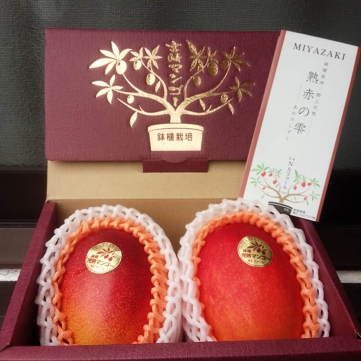 宮崎県産　ＮＳファームの「鉢植え完熟マンゴー」Ｌサイズ・約６５０ｇ（２個）