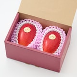 宮崎県産　ＮＳファームの「鉢植え完熟マンゴー」Ｌサイズ・約６５０ｇ（２個）