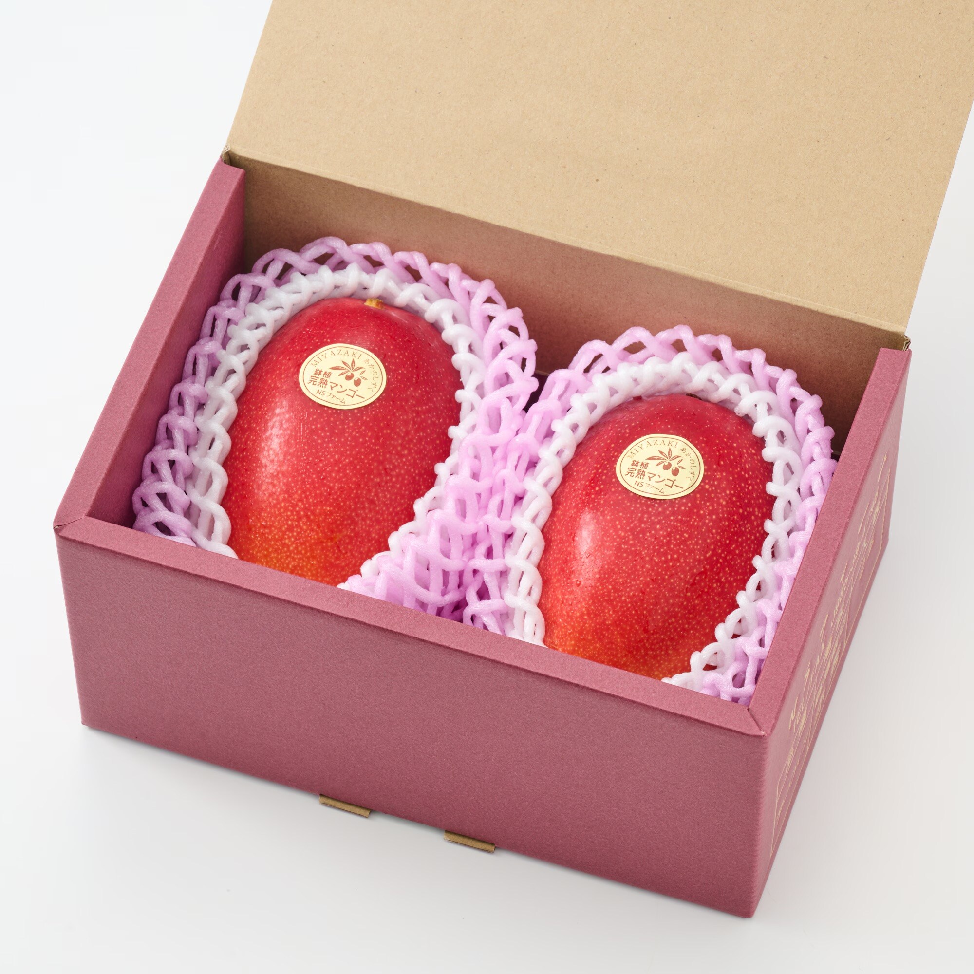 宮崎県産　ＮＳファームの「鉢植え完熟マンゴー」Ｌサイズ・約６５０ｇ（２個）