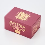 宮崎県産　ＮＳファームの「鉢植え完熟マンゴー」Ｌサイズ・約６５０ｇ（２個）