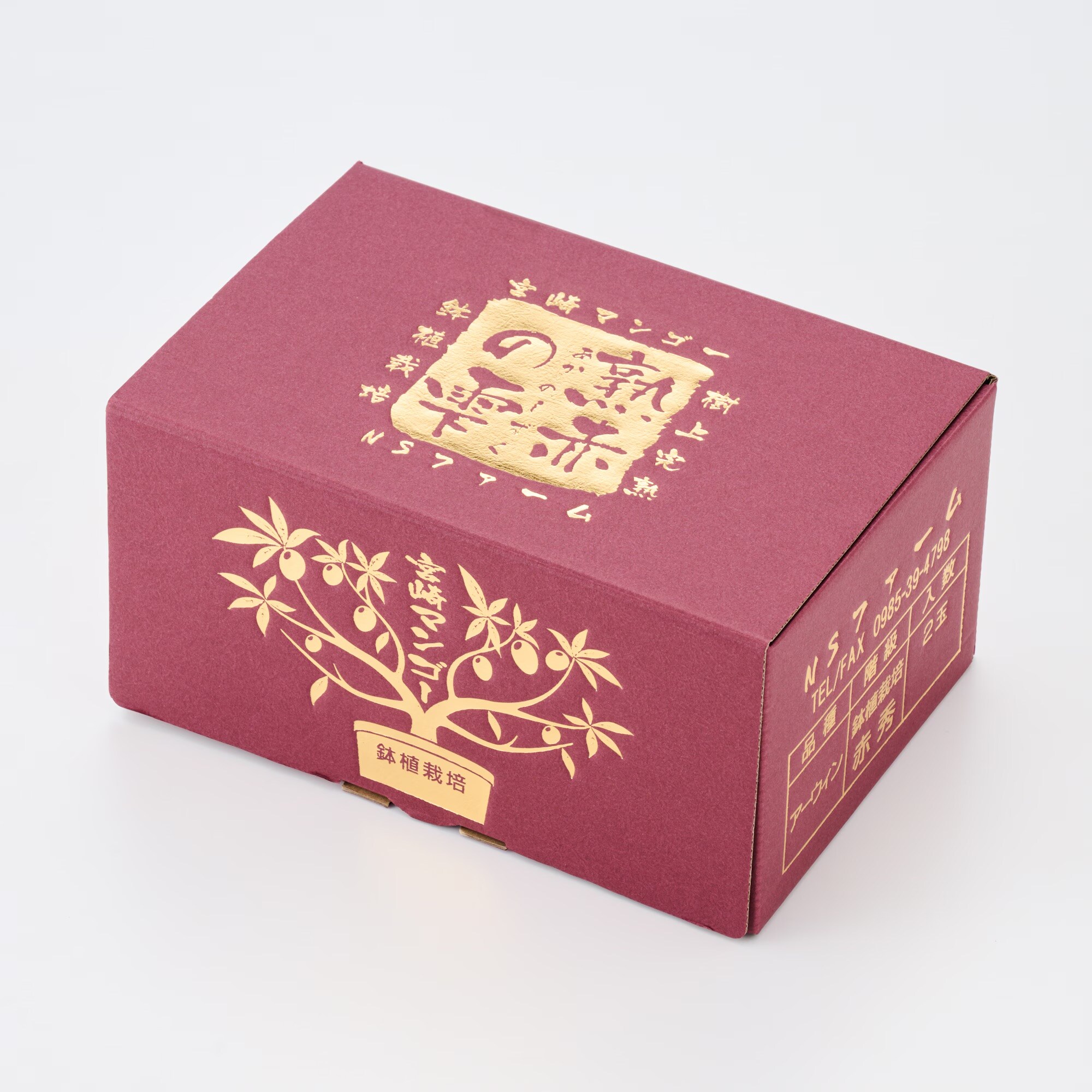 宮崎県産　ＮＳファームの「鉢植え完熟マンゴー」Ｌサイズ・約６５０ｇ（２個）