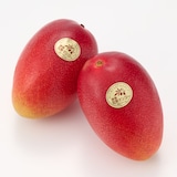 宮崎県産　ＮＳファームの「鉢植え完熟マンゴー」Ｌサイズ・約６５０ｇ（２個）