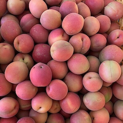 福島県産　相馬アグリ株式会社の冷凍梅「露茜」１ｋｇ