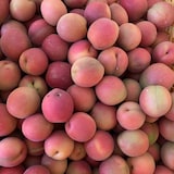 福島県産　相馬アグリ株式会社の冷凍梅「露茜」１ｋｇ