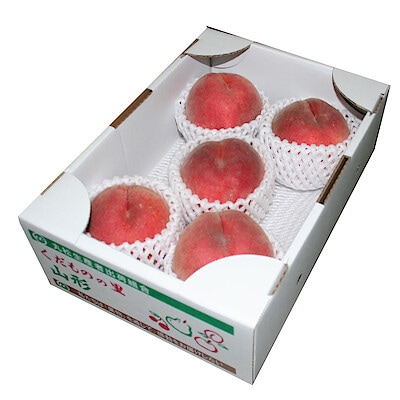 山形県産　白桃「品種おまかせ」　１．４ｋｇ（５～７玉）