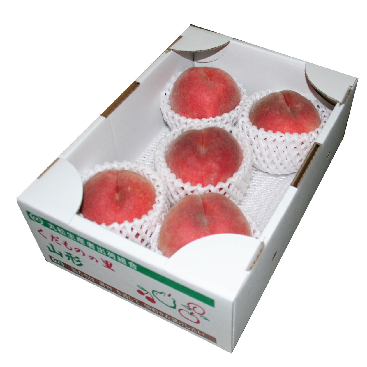 山形県産　白桃「品種おまかせ」　１．４ｋｇ（５～７玉）