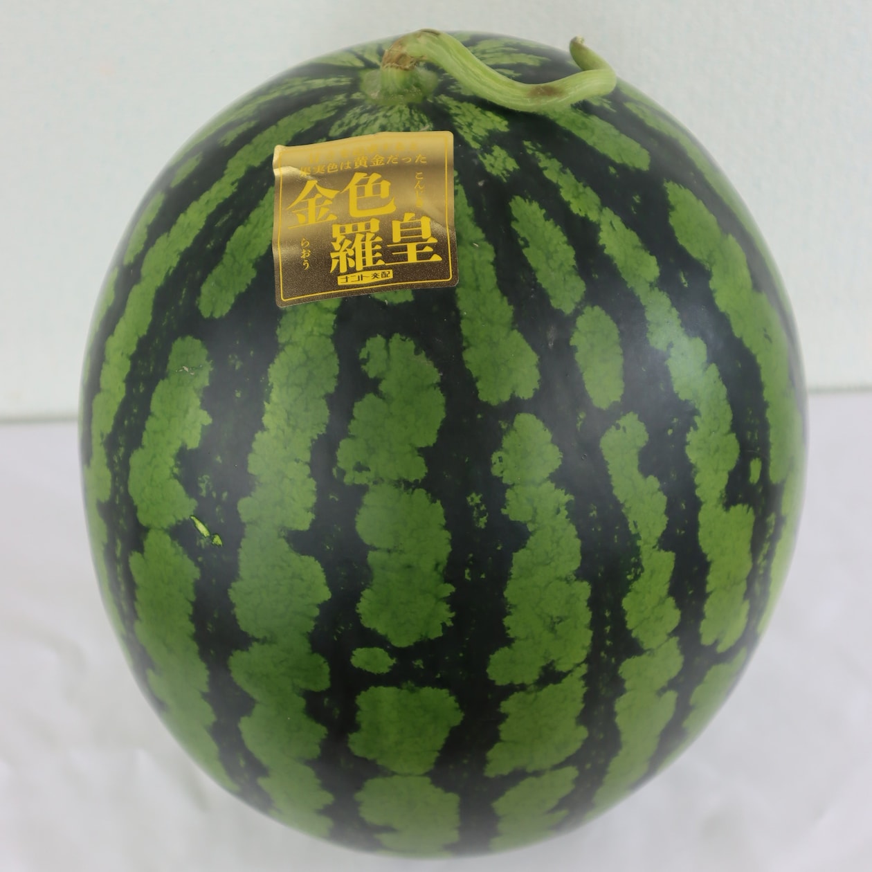 山形県産　すいか「金色羅王」　秀品６ｋｇ以上（１玉）