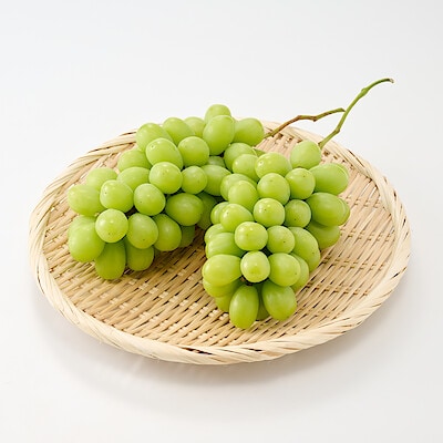 熊本県　FRUITSGARDEN虹色　シャインマスカット　２房