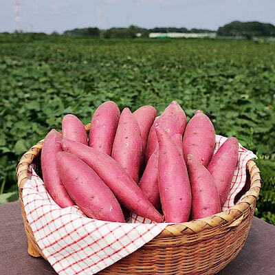埼玉県産　むさし野自然農場のさつまいも「あいこまち」約３ｋｇ