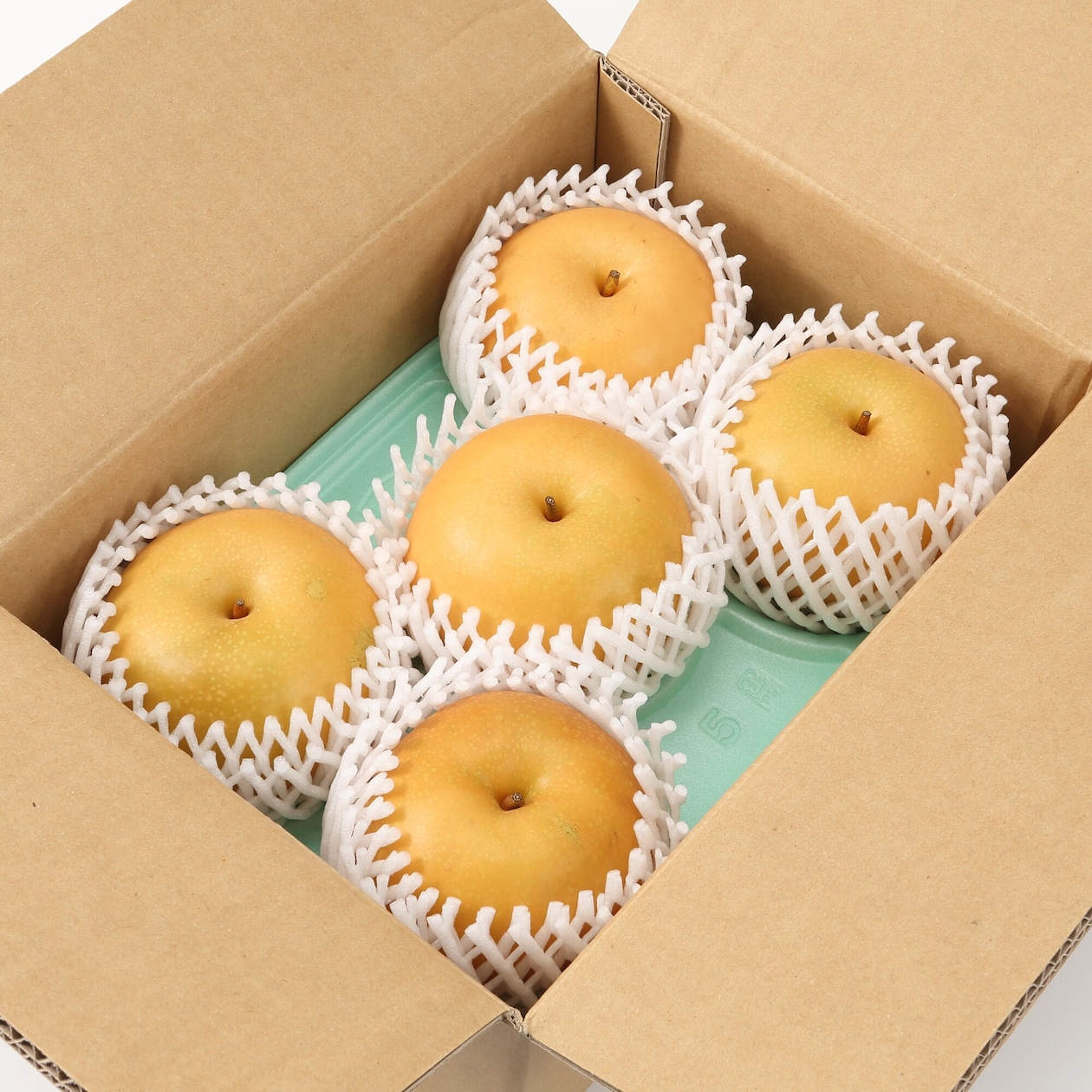 鳥取県産　ひろおかファームの完熟梨「新興」家庭用・約２．２ｋｇ