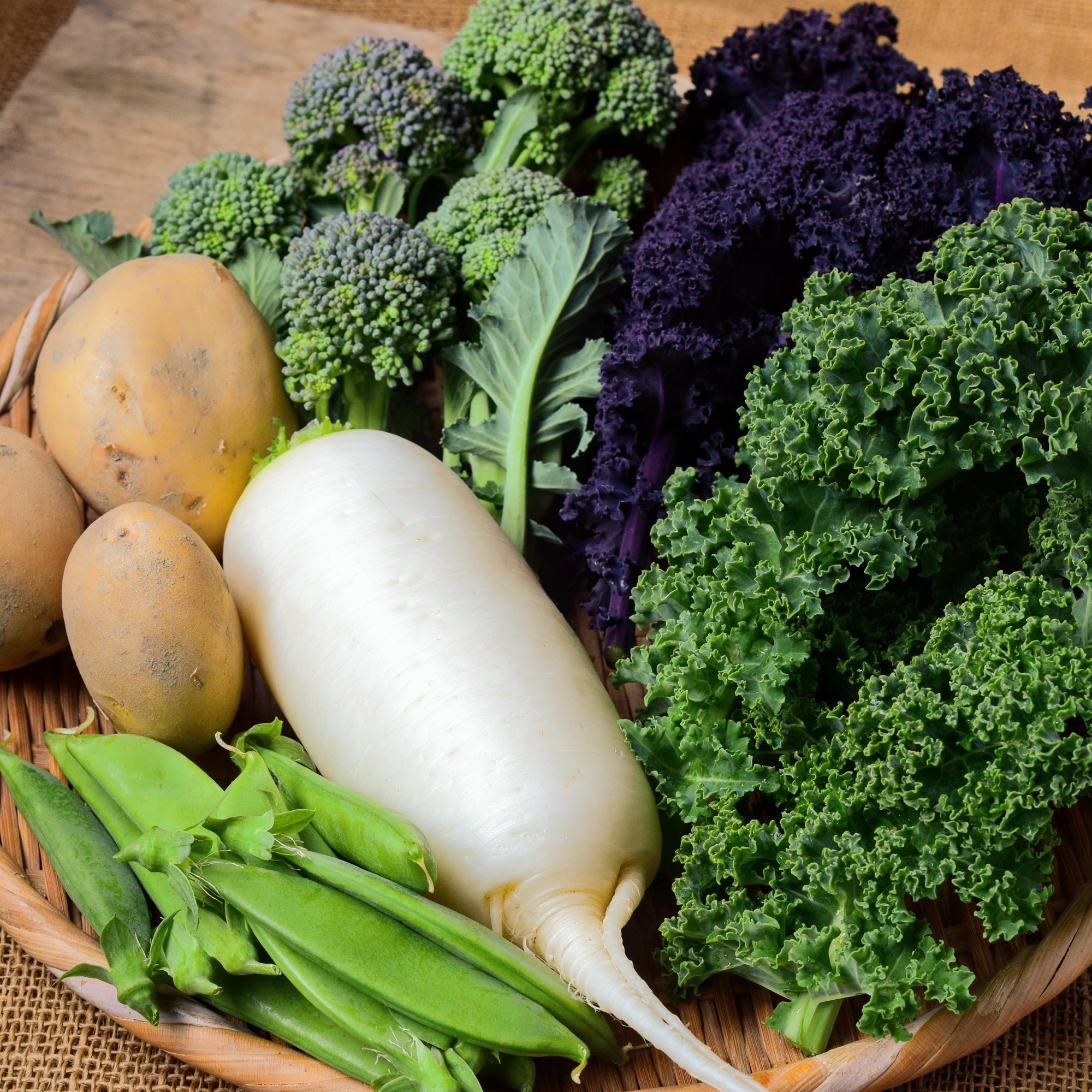 奈良県　葛城山麓農園　季節の野菜セット（６種）