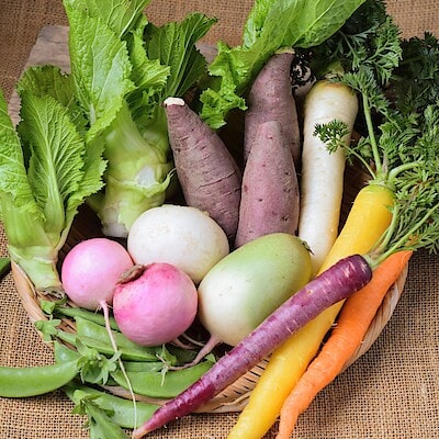 奈良県　葛城山麓農園　季節の野菜セット（６種）