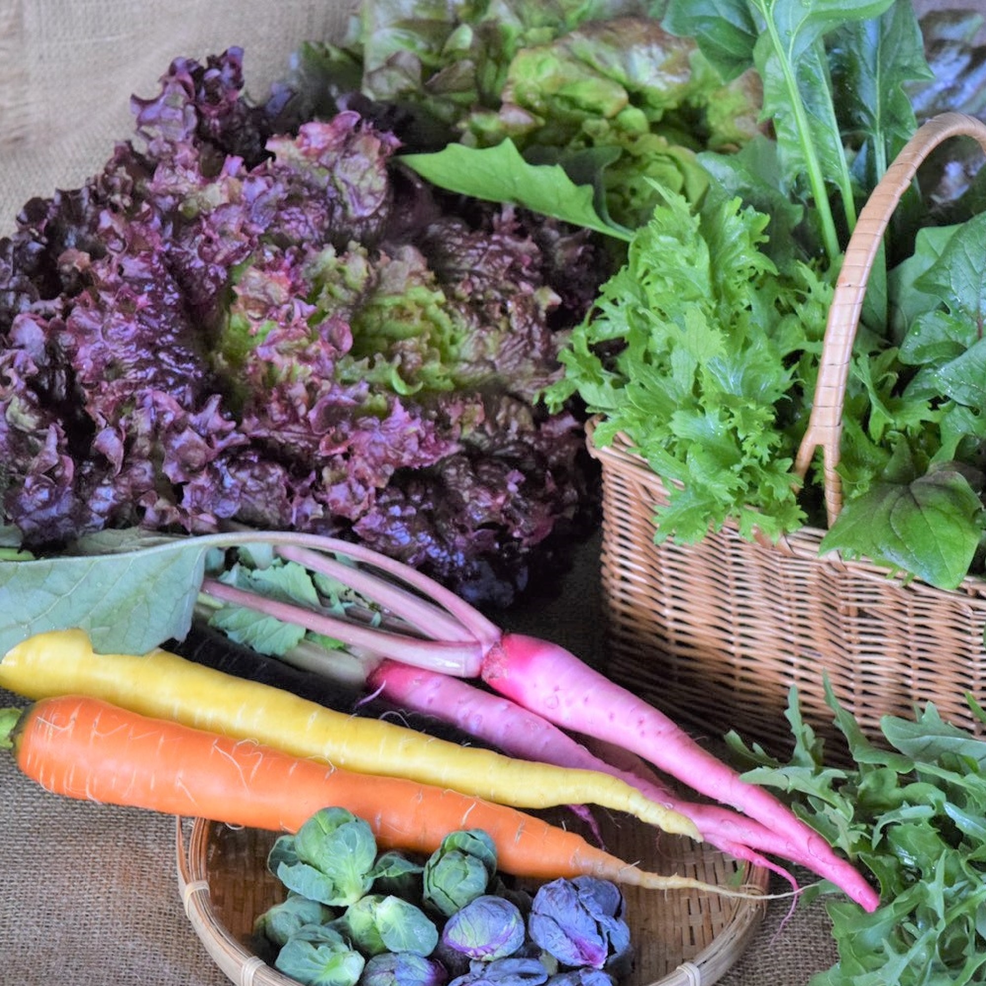 奈良県　葛城山麓農園　季節の野菜セット（８種）