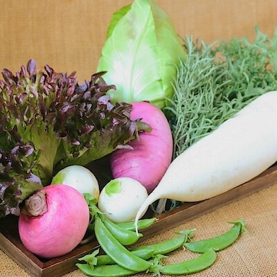 奈良県　葛城山麓農園　季節の野菜セット（８種）