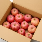 奈良県産　堀内果実園のりんご「ふじ」家庭用・約３ｋｇ（８～１２個）