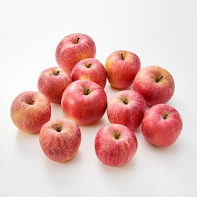 奈良県産　堀内果実園のりんご「ふじ」家庭用・約３ｋｇ（８～１２個）