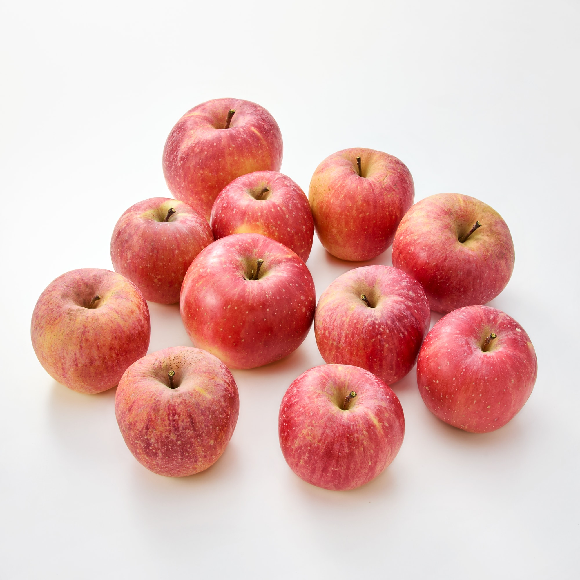 奈良県産 堀内果実園のりんご「ふじ」家庭用・約3kg（8～12個