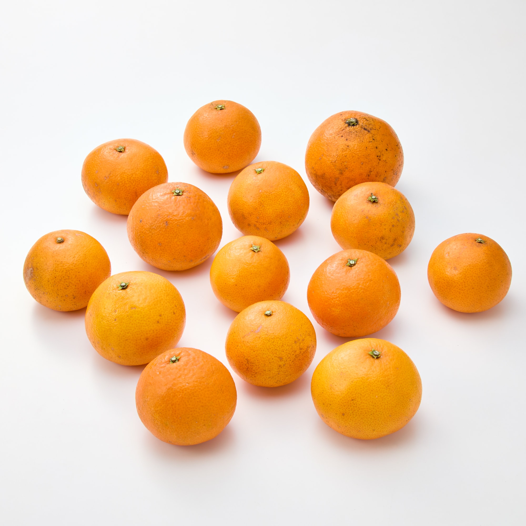 愛媛県産 無茶々園の「愛媛果試第28号」サイズ混合・約3kg | 無印良品