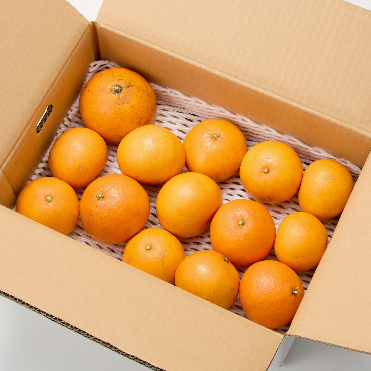 愛媛県産　無茶々園の「愛媛果試第２８号」サイズ混合・約３ｋｇ