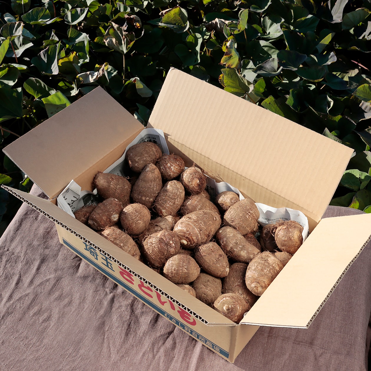 埼玉県産　むさし野自然農場の里芋「土垂」約３ｋｇ