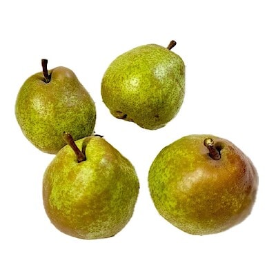 秋田県　さとう果樹園　ラ・フランス　２Ｌサイズ～　約２．８ｋｇ