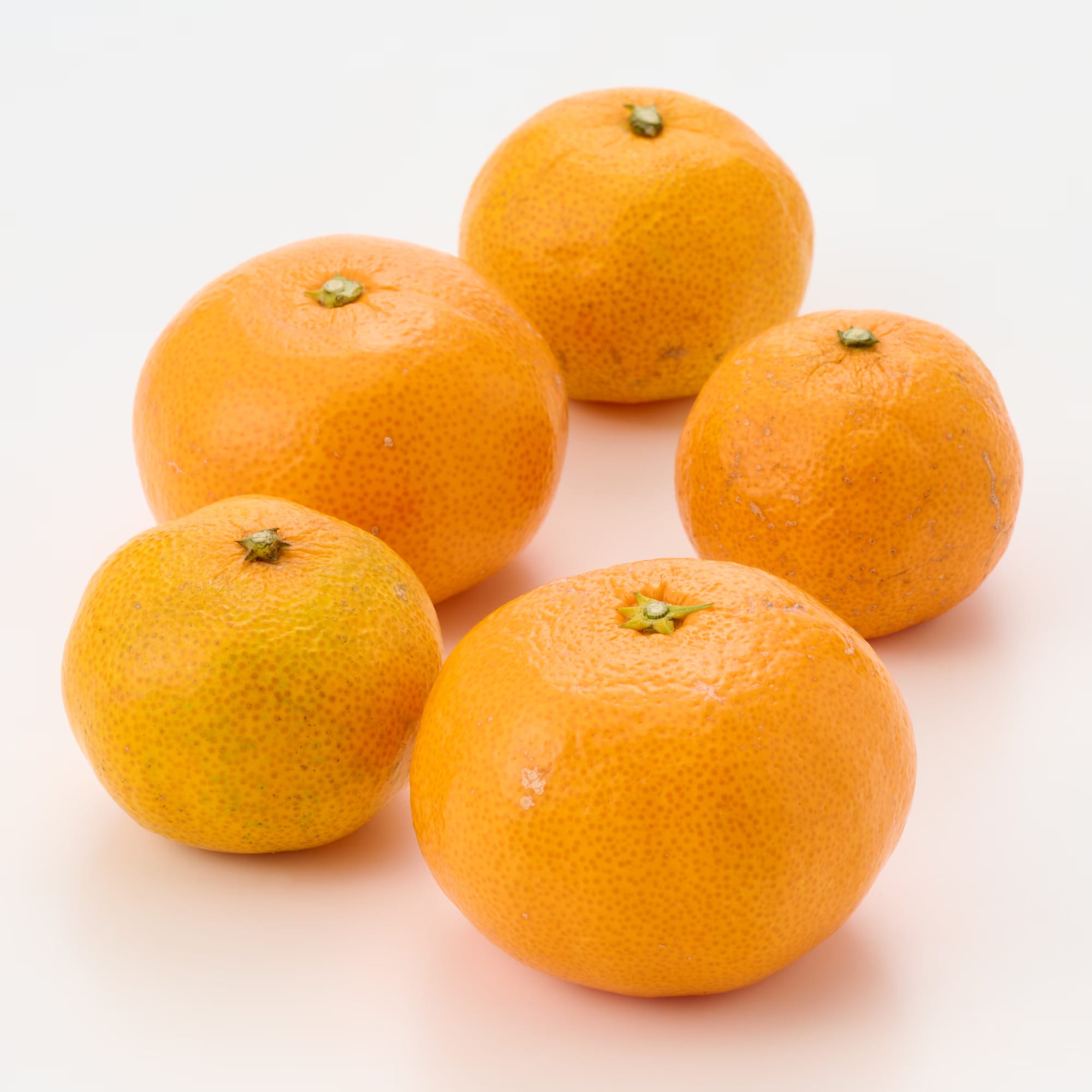 静岡県産 えなみ農園の「片山みかん」家庭用・S～2L混合 約4．5kg