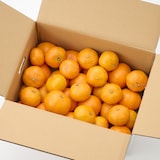 静岡県産 えなみ農園の「片山みかん」家庭用・S～２L混合　約４．５ｋｇ