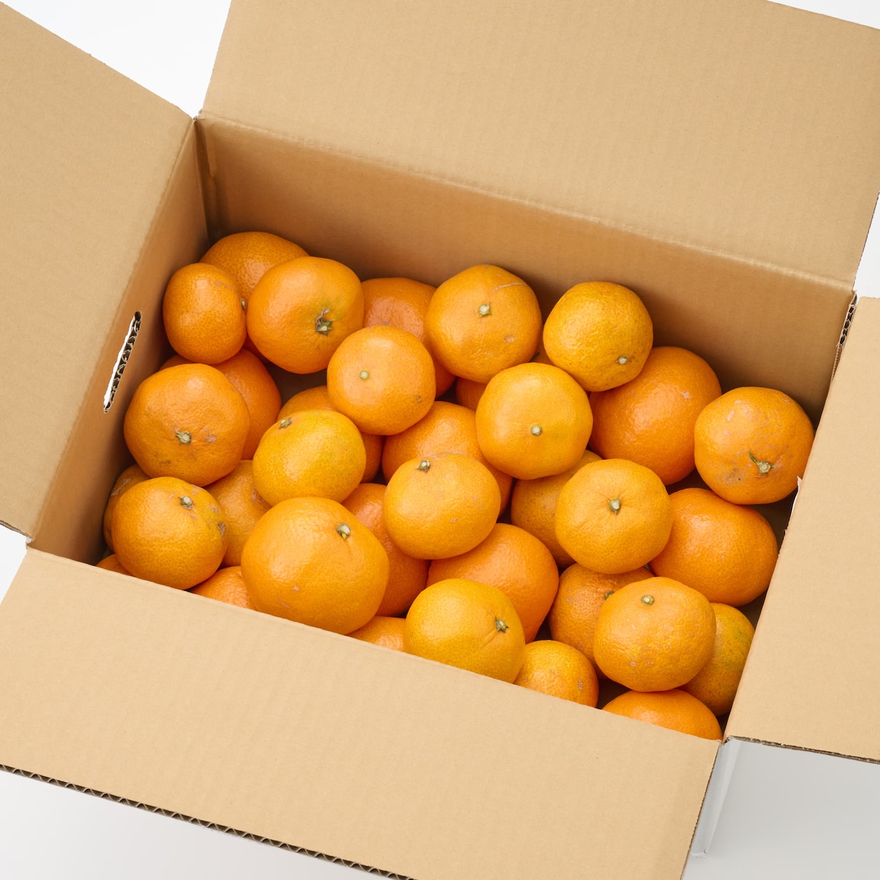 静岡県産 えなみ農園の「片山みかん」家庭用・S～２L混合　約４．５ｋｇ