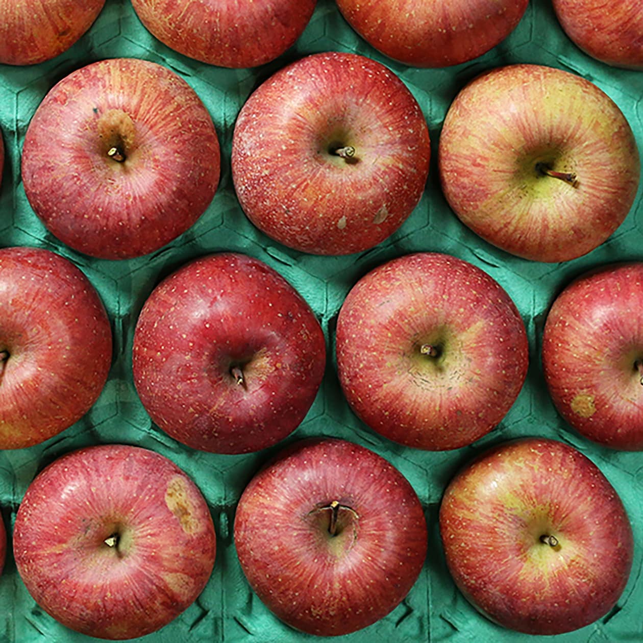 山形県産　中川果樹園のりんご「樹上完熟ふじ」家庭用・約３ｋｇ（９～１１玉）　