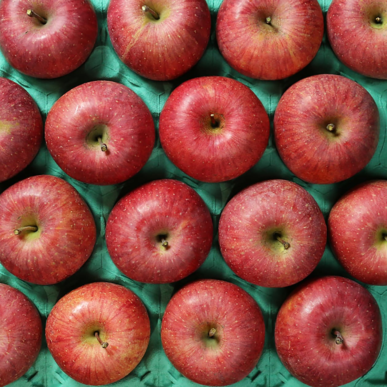 山形県産　中川果樹園のりんご「樹上完熟ふじ」約３ｋｇ（７～１２玉）【ギフトにおすすめ】　