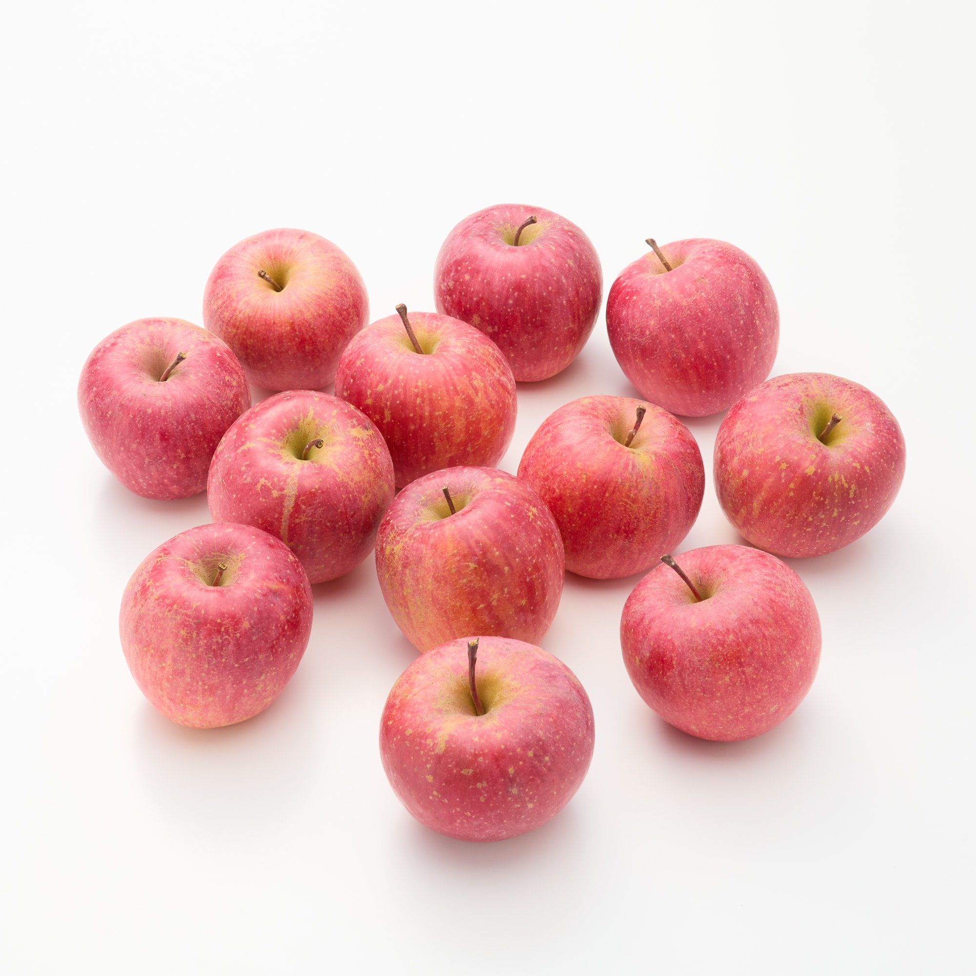 山形県産 中川果樹園の「完熟雪室りんご」約3kg（10～14玉