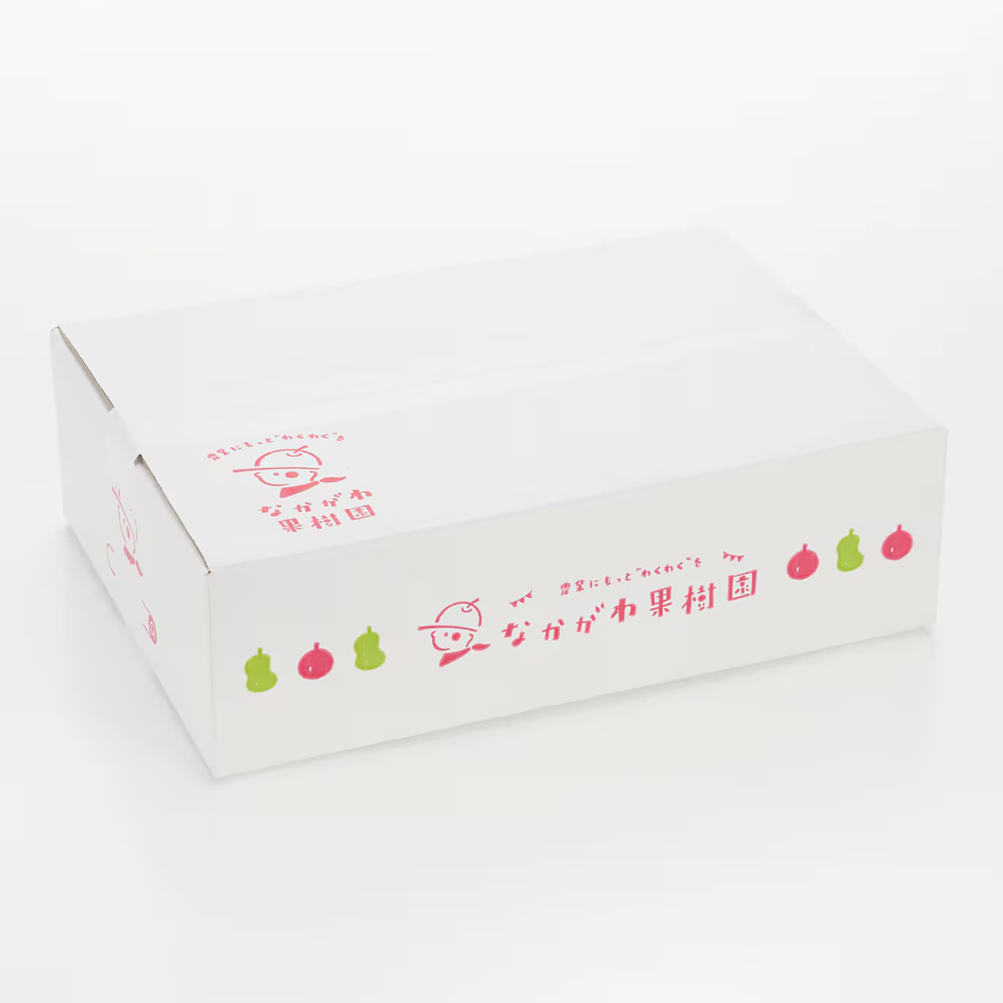 山形県産　中川果樹園の「完熟雪室りんご」約３ｋｇ（１０～１４玉）