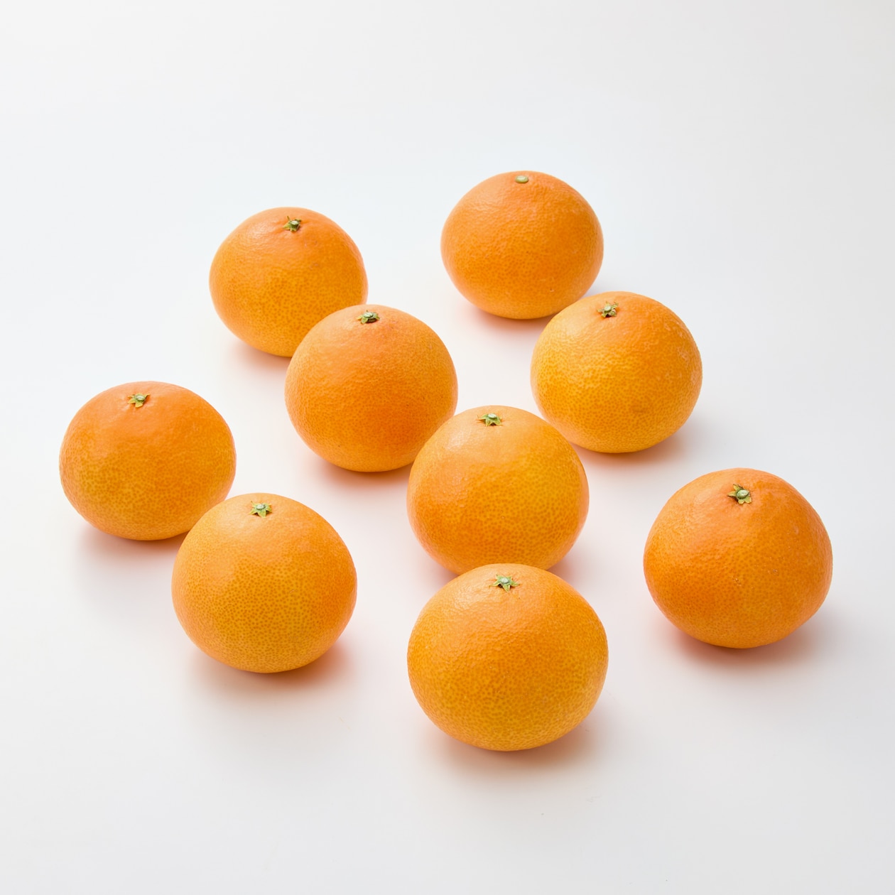 愛媛県産　田縁農園の柑橘「岬まどんな」約２．５ｋｇ（９～１５個）