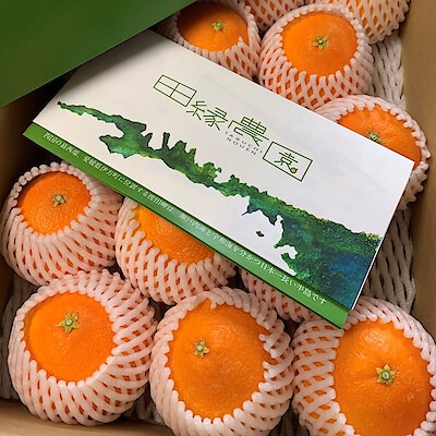 愛媛県産　田縁農園の柑橘「岬まどんな」約２．５ｋｇ（９～１５個）