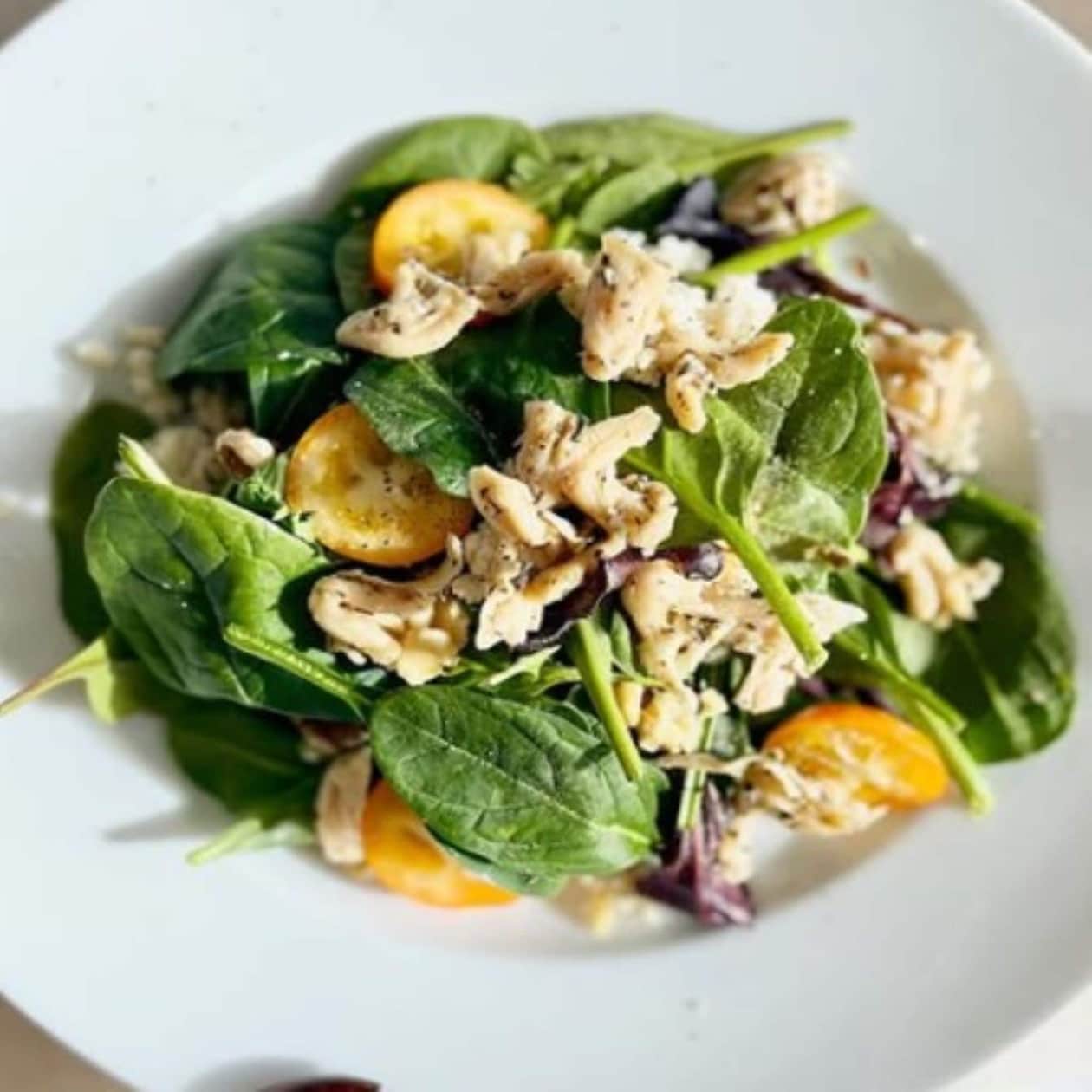 北海道産オーガニック大豆ミート（転換期間中有機大豆使用）3種セット