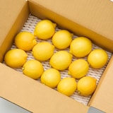 愛知県刈谷市産　小林農園「リスボンレモン」１ｋｇ