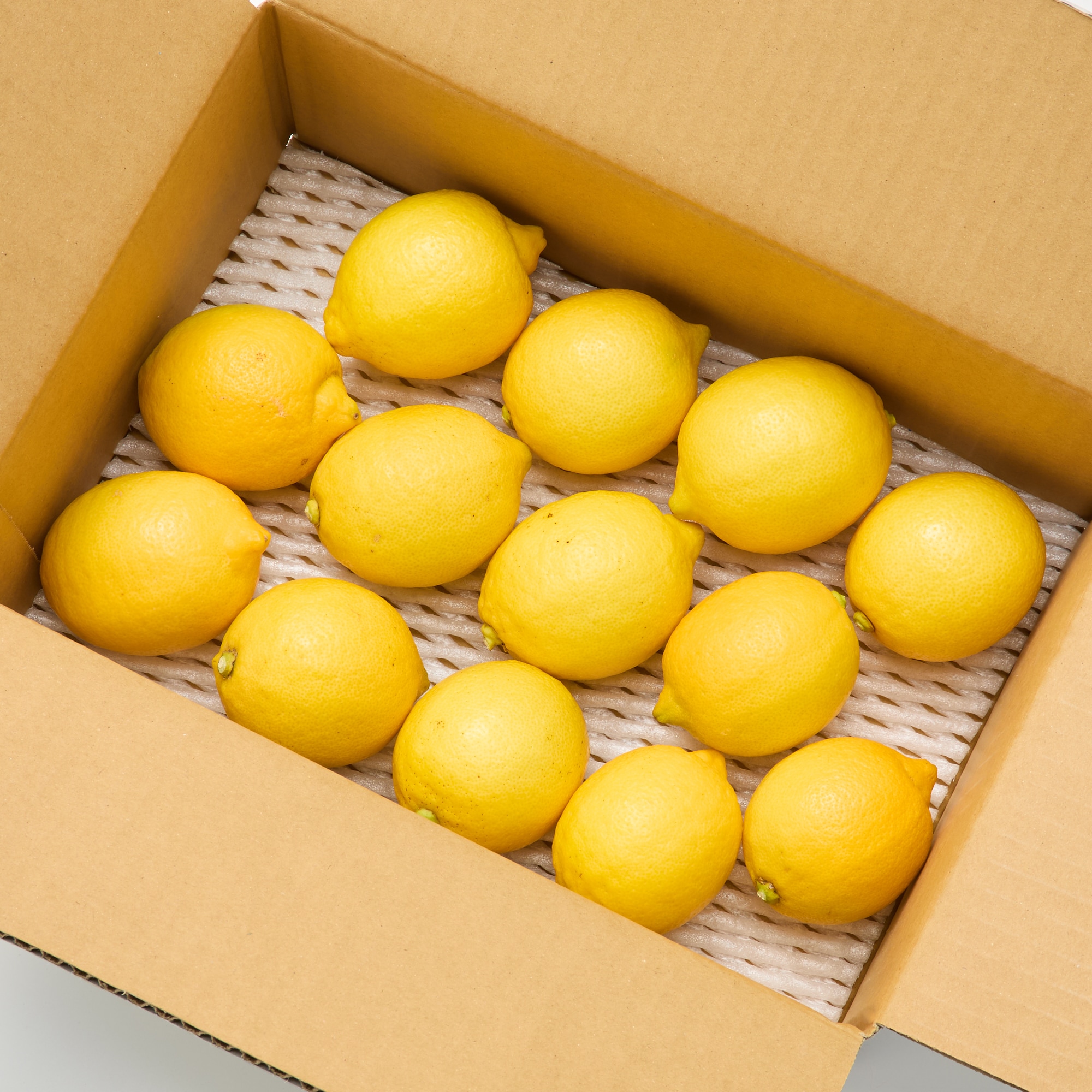 愛知県刈谷市産　小林農園「リスボンレモン」１ｋｇ