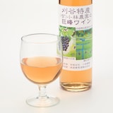 愛知県刈谷市　小林農園　素材を生かした巨峰ワイン　２本