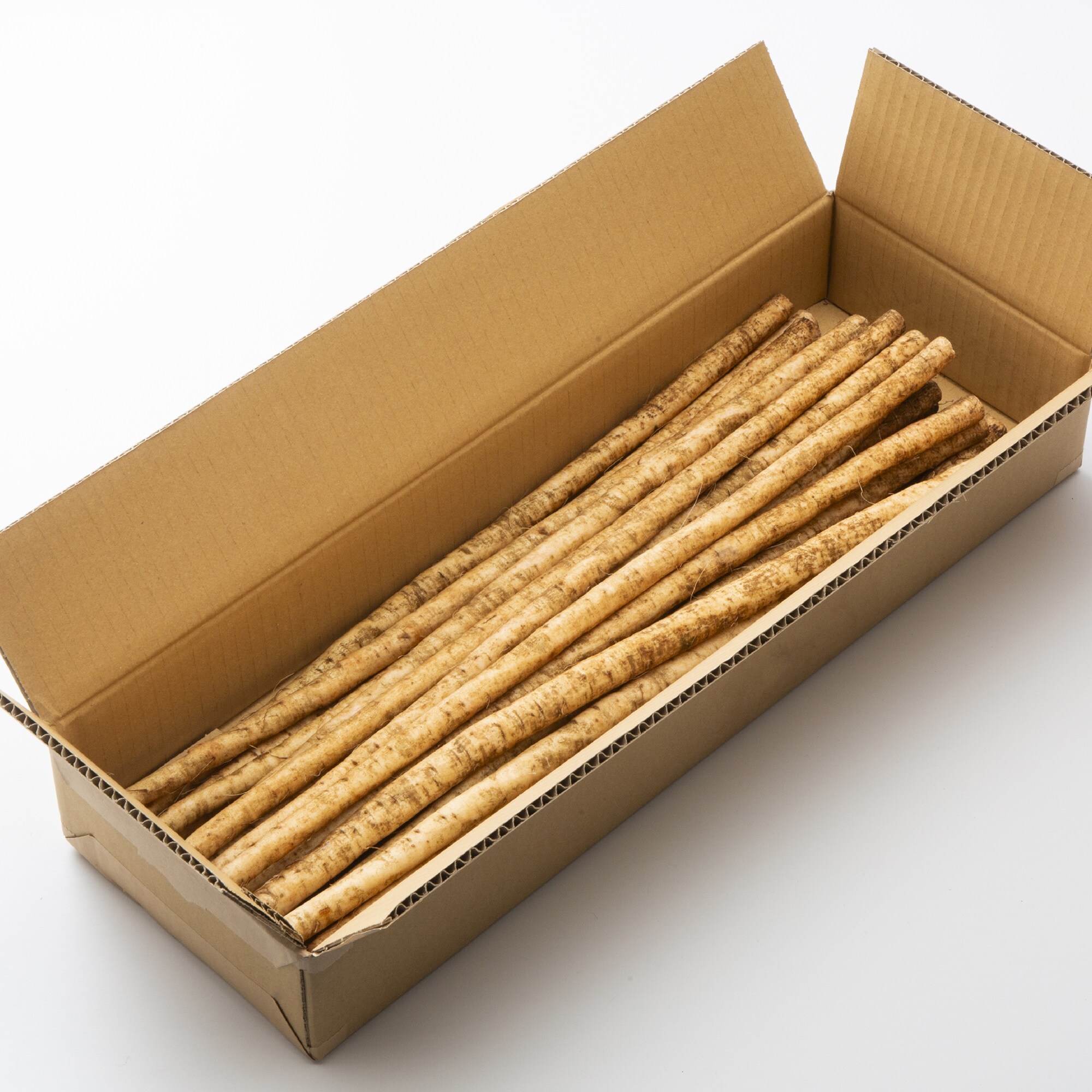 熊本県菊池市　おくむら農園　　絹肌ごぼう　２ｋｇ