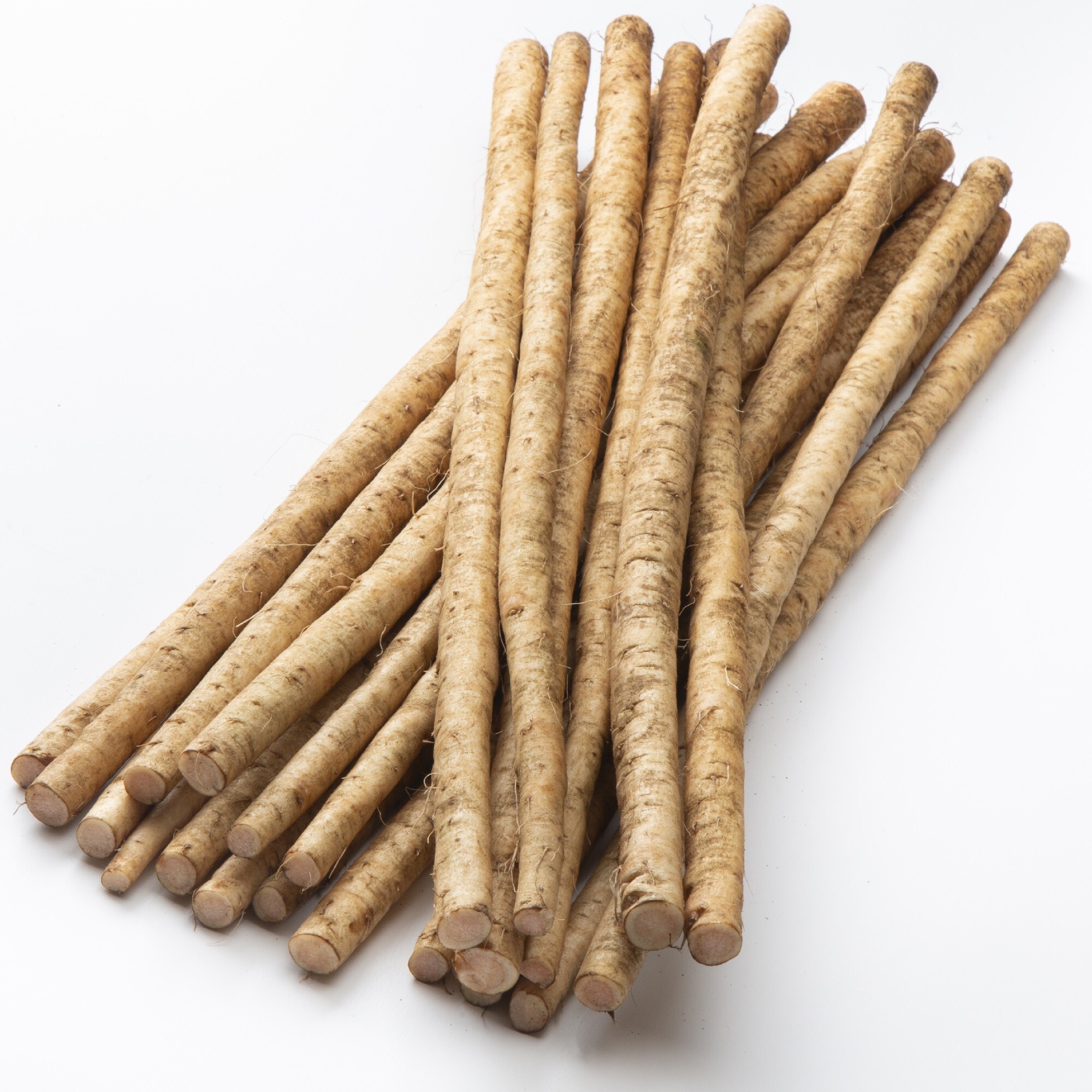 熊本県菊池市　おくむら農園　　絹肌ごぼう　２ｋｇ