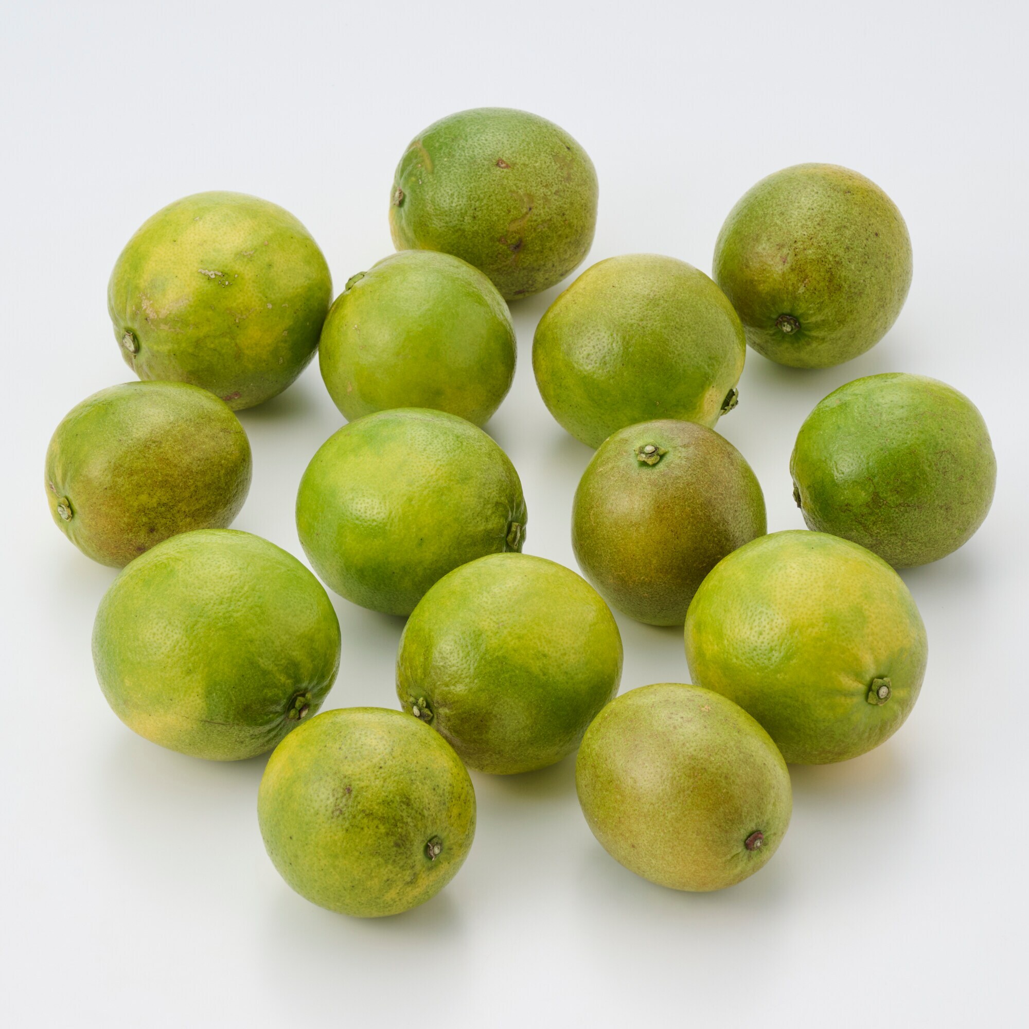 熊本県　吉田レモニーの食べるレモン「スイートレモネード」１．５ｋｇ