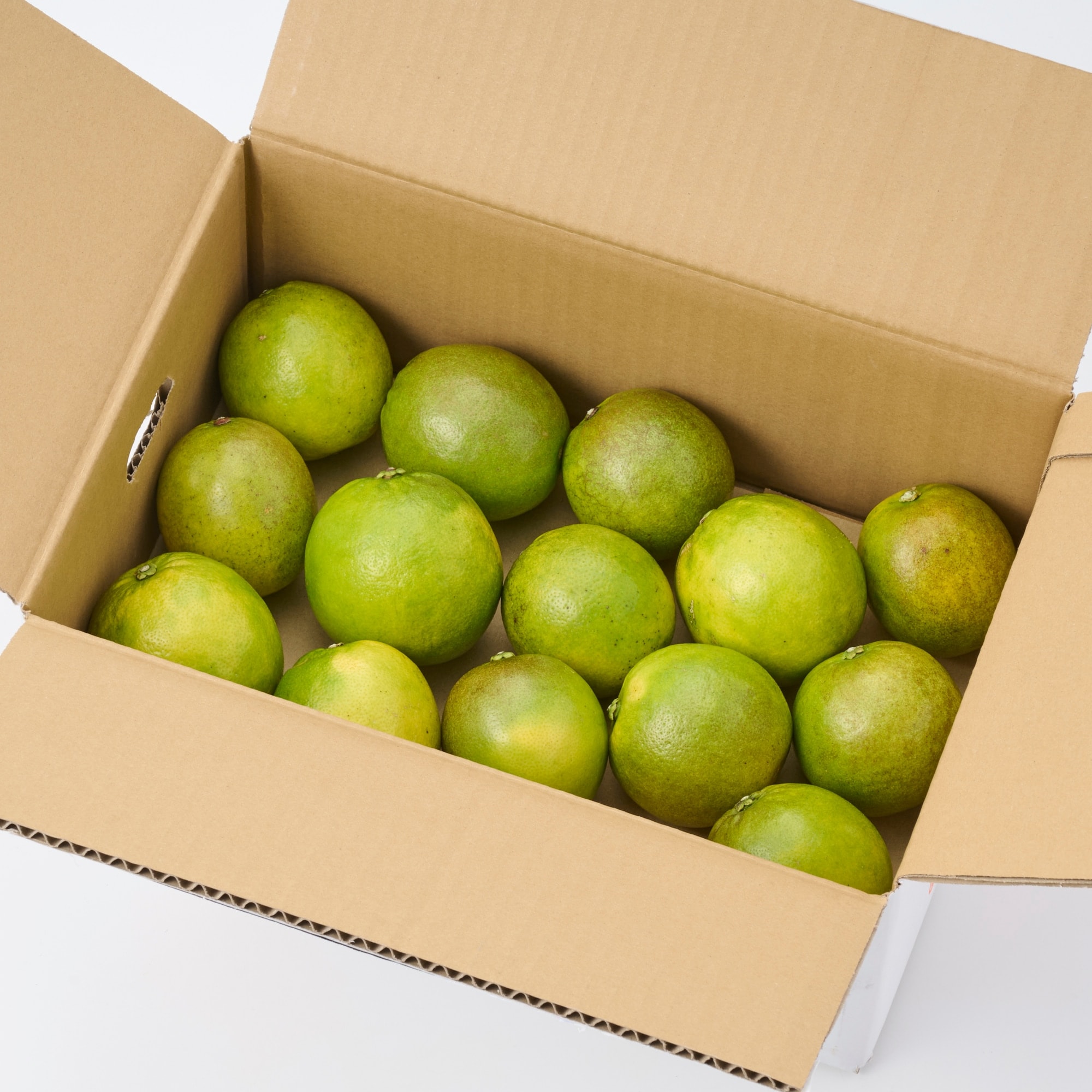 熊本県 吉田レモニーの食べるレモン「スイートレモネード」1．5kg