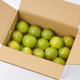 熊本県　吉田レモニーの食べるレモン「スイートレモネード」１．５ｋｇ