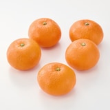 愛媛県産　田縁農園の柑橘「あいおとめ」約２.５ｋｇ（２０～３０玉）