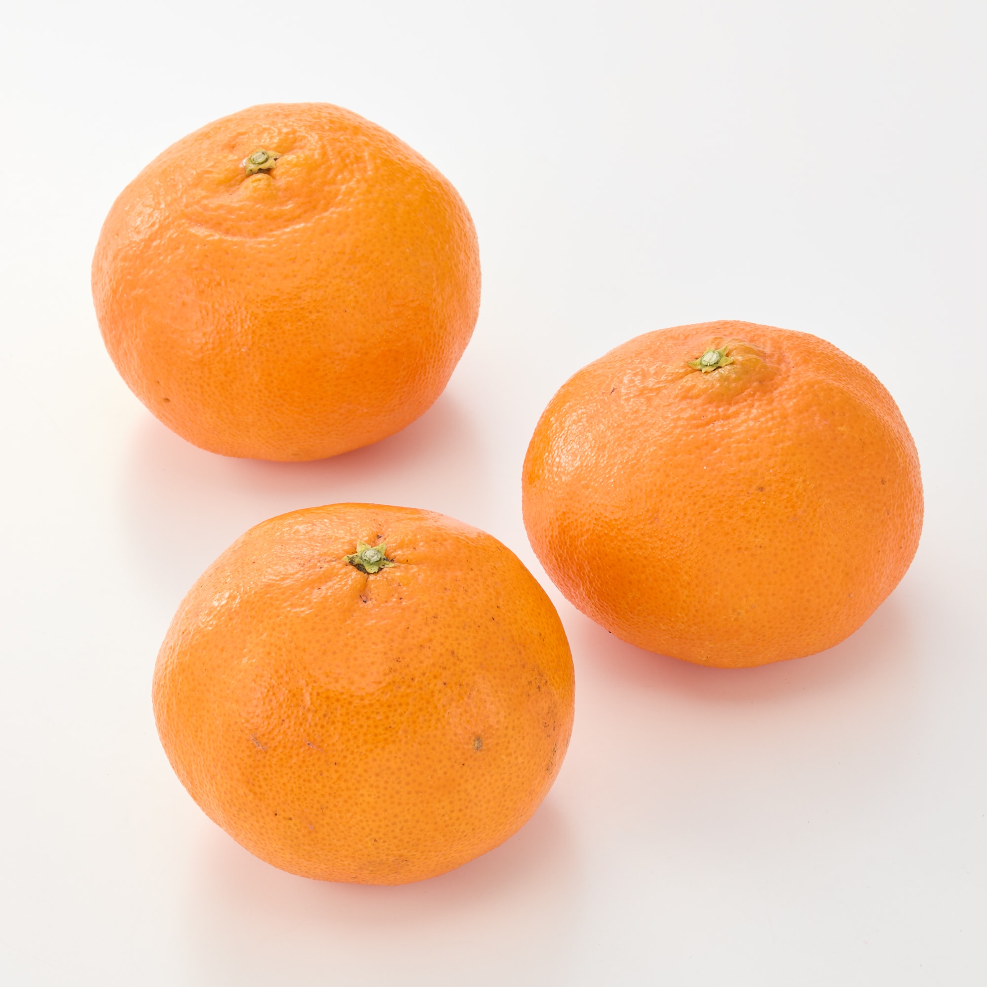 愛媛県産　田縁農園の柑橘「甘平」約２ｋｇ（９～１５玉入り）