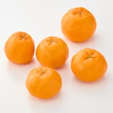 愛媛県産　田縁農園の柑橘「ぽんかん」約２．５ｋｇ（２０～３０玉入り）