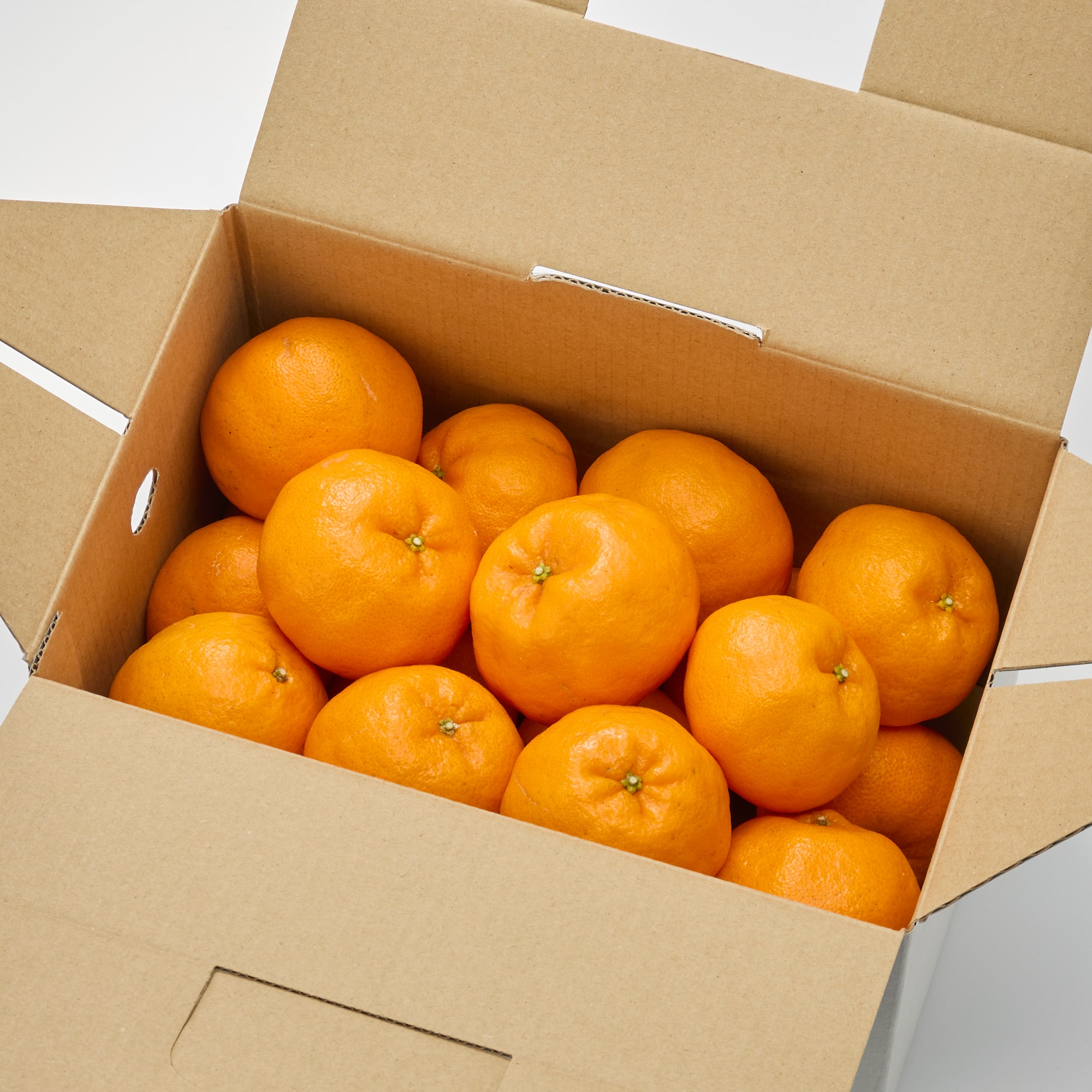 愛媛県産　田縁農園の柑橘「ぽんかん」約２．５ｋｇ（２０～３０玉入り）